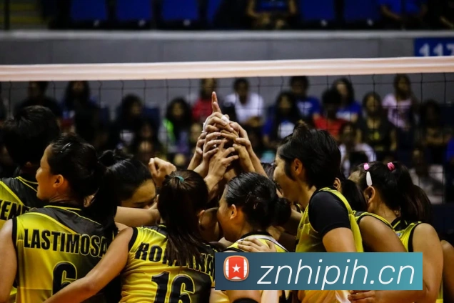 hth网址发展历程